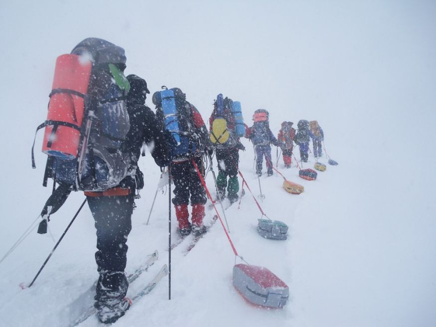 Сани-волокуши Гермо 65 л